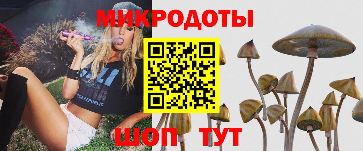 Галлюциногенные грибы Psilocybine cubensis  Вход с VPN  Можайск 
